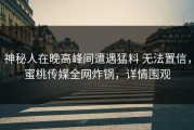 神秘人在晚高峰间遭遇猛料 无法置信，蜜桃传媒全网炸锅，详情围观