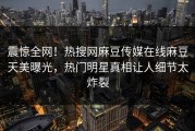 震惊全网！热搜网麻豆传媒在线麻豆天美曝光，热门明星真相让人细节太炸裂