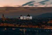 麻豆呼瘾