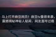 马上打开麻豆网页！麻豆tv重磅来袭，震撼揭秘神秘人秘闻，网友直呼过瘾