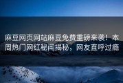 麻豆网页网站麻豆免费重磅来袭！本周热门网红秘闻揭秘，网友直呼过瘾