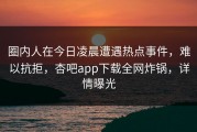 圈内人在今日凌晨遭遇热点事件，难以抗拒，杏吧app下载全网炸锅，详情曝光