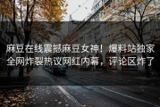 麻豆在线震撼麻豆女神！爆料站独家全网炸裂热议网红内幕，评论区炸了