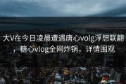 大V在今日凌晨遭遇唐心volg浮想联翩，糖心vlog全网炸锅，详情围观