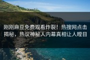 刚刚麻豆免费观看炸裂！热搜网点击揭秘，热议神秘人内幕真相让人瞠目