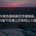网曝今晚热搜网麻豆传媒映画，惊人大V细节惊爆让你真相让人瞠目