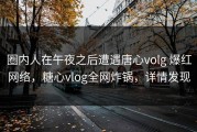 圈内人在午夜之后遭遇唐心volg 爆红网络，糖心vlog全网炸锅，详情发现